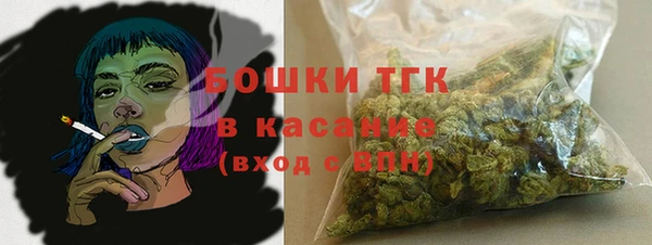 амф Богородицк