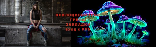 амф Богородицк