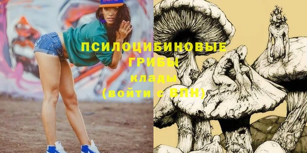 амф Богородицк