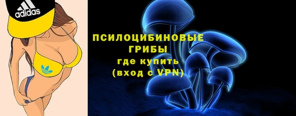 соль ск Бородино
