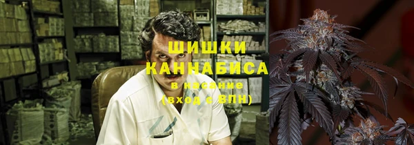 амф Богородицк