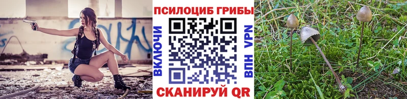 Купить закладки  Циолковский  Псилоцибиновые грибы ЛСД 