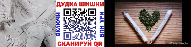 Купить где  Циолковский  Шишки марихуана сатива 